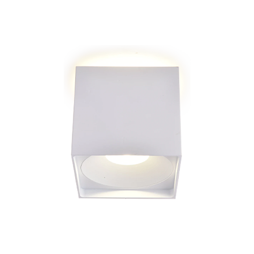 Up/Down Series - Square 12W Fixed Mount - Built-in LED - Turn on Up, Down or Both with One Control, 12W/4000K Down Light, 4W/ 3000K Up Light