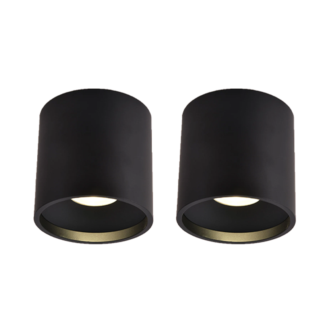 Up/Down Series - Round 12W Fixed Mount - Built-in LED - Turn on Up, Down or Both with One Control, 12W/4000K Down Light, 4W/ 3000K Up Light