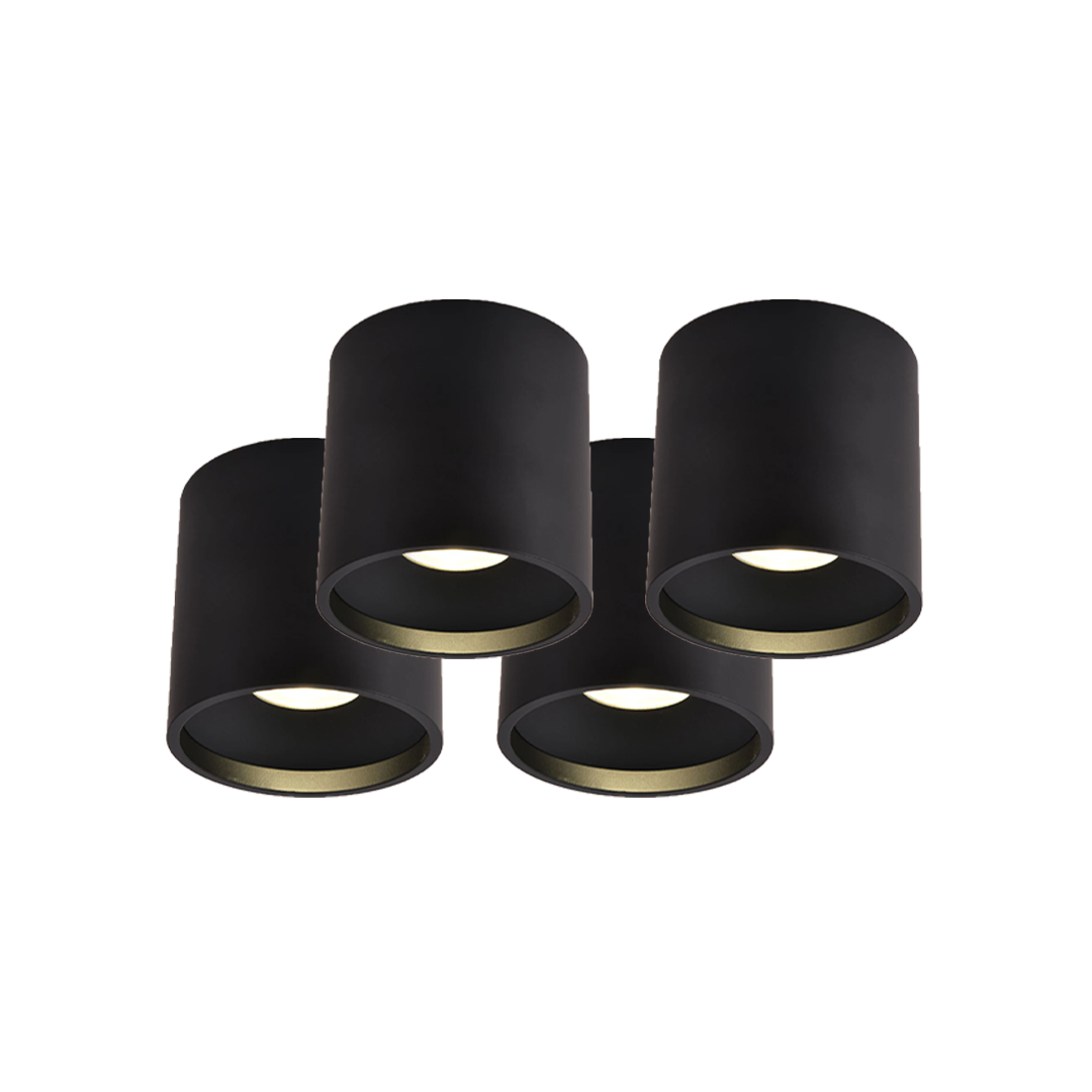 Up/Down Series - Round 12W Fixed Mount - Built-in LED - Turn on Up, Down or Both with One Control, 12W/4000K Down Light, 4W/ 3000K Up Light