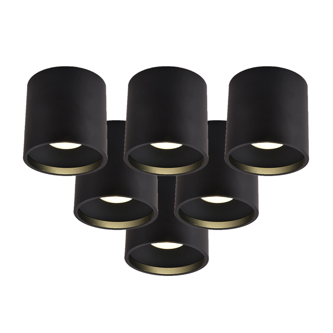 Up/Down Series - Round 12W Fixed Mount - Built-in LED - Turn on Up, Down or Both with One Control, 12W/4000K Down Light, 4W/ 3000K Up Light