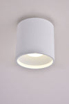 Up/Down Series - Round 12W Fixed Mount - Built-in LED - Turn on Up, Down or Both with One Control